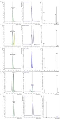 Development of a highly sensitive method based on QuEChERS and GC–MS/MS for the determination of polycyclic aromatic hydrocarbons in infant foods